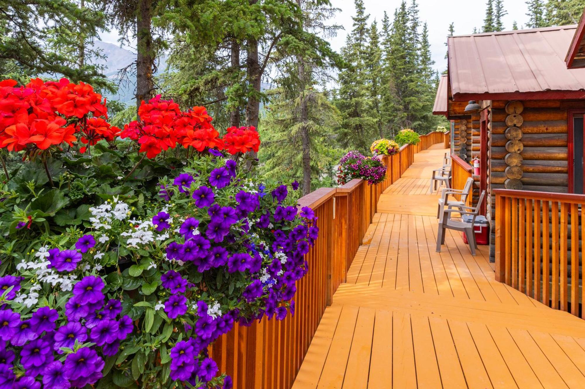 Denali Crow'S Nest Cabins Denali Park Екстер'єр фото